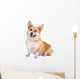 front view of a Welsh Corgi Pembroke dog sticking out tongue Wall Decal