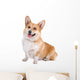 front view of a Welsh Corgi Pembroke dog sticking out tongue Wall Decal