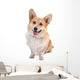 Welsh Corgi Dog Wall Decal