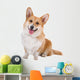 Welsh Corgi Pembroke Dog Sticking Out Tongue Wall Decal
