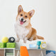 Welsh Corgi Pembroke Dog Sticking Out Tongue Wall Decal