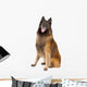 Belgian Shepherd Tervuren Sticking Wall Decal