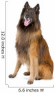 Belgian Shepherd Tervuren Sticking Wall Decal