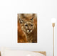 Wild Puma Cougar Wall Mural