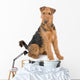 Airendale Terrier Wall Decal