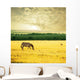 Zebra on sunrise Wall Mural