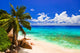 Tropical Beach at Island La Digue Seychelles Wall Mural