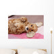 Cocker Spaniel Wall Mural