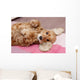 Cocker Spaniel Wall Mural