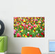Colorful Tulips
