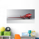 red airplane Wall Mural