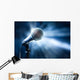 Microphone Stage