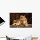 Mother Lioness Wall Mural