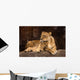 Mother Lioness Wall Mural