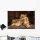 Mother Lioness Wall Mural