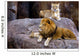 Animal - African Lion Panthera Leo Krugeri Wall Mural