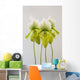 Paphiopedilum maudiae femma;Venlo holland Wall Mural