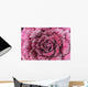 Purple cabbage Wall Mural
