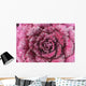Purple cabbage Wall Mural