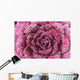 Purple cabbage Wall Mural