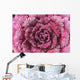 Purple cabbage Wall Mural