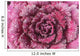 Purple cabbage Wall Mural