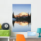 Mount rainier reflected Wall Mural