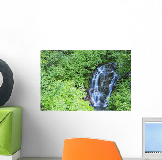Stevens Creek Waterfall Mount Wall Decal