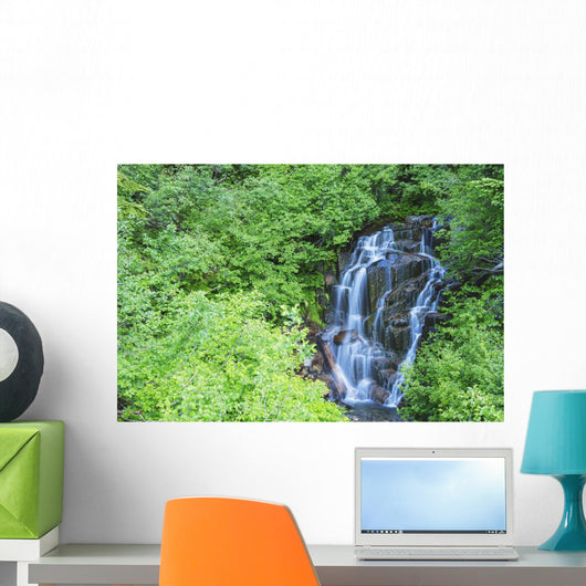 Stevens Creek Waterfall Mount Wall Decal
