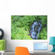 Stevens Creek Waterfall Mount Wall Decal