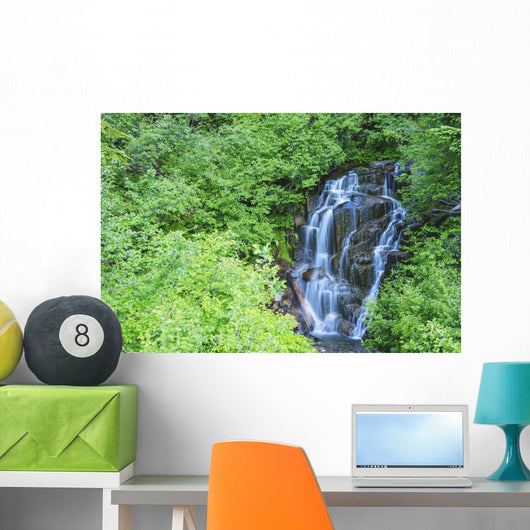 Stevens Creek Waterfall Mount Wall Decal