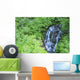 Stevens Creek Waterfall Mount Wall Decal