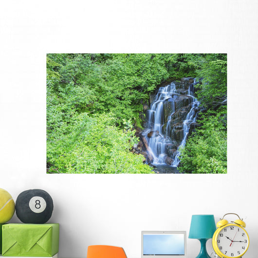 Stevens Creek Waterfall Mount Wall Decal