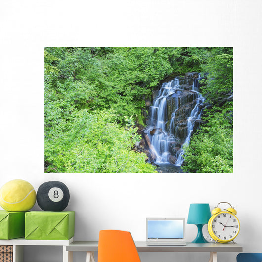 Stevens Creek Waterfall Mount Wall Decal