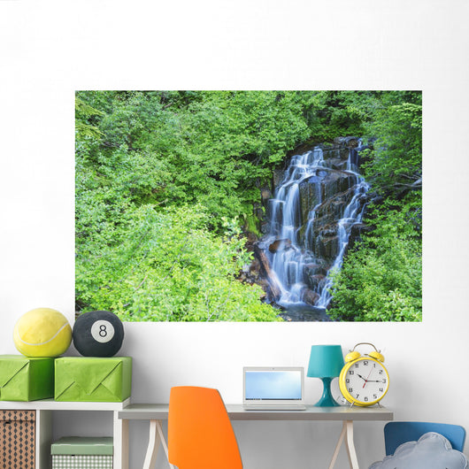 Stevens Creek Waterfall Mount Wall Decal