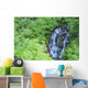 Stevens Creek Waterfall Mount Wall Decal