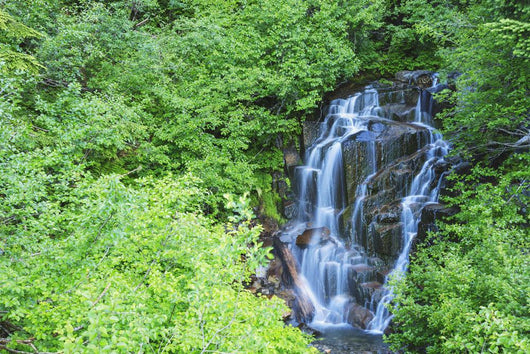 Stevens Creek Waterfall Mount Wall Decal