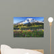 Mount rainier and wildflowers Wall Mural
