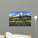 Mount rainier and wildflowers Wall Mural