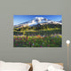 Mount rainier and wildflowers Wall Mural