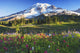 Mount rainier and wildflowers Wall Mural