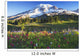 Mount rainier and wildflowers Wall Mural