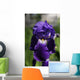 Flower Irises Wall Mural