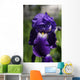 Flower Irises Wall Mural