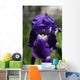 Flower Irises Wall Mural
