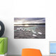 Gill Net Used for Wall Decal