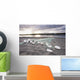 Gill Net Used for Wall Decal