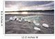 Gill Net Used for Wall Decal