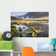 Lily Pads Glow At Sunset As The Clouds Reflect Wall Mural