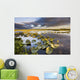 Lily Pads Glow At Sunset As The Clouds Reflect Wall Mural